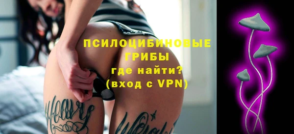 МДПВ Абдулино