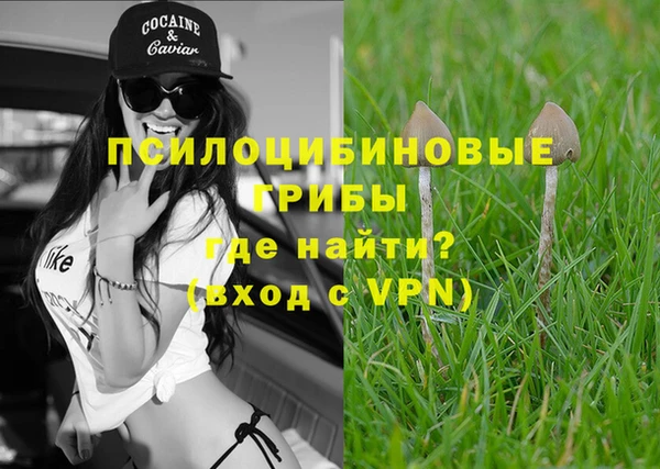 МДПВ Абдулино