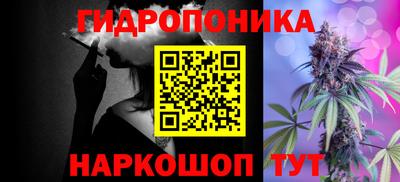 соль ск Славгород