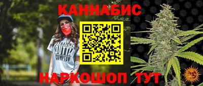 соль ск Славгород