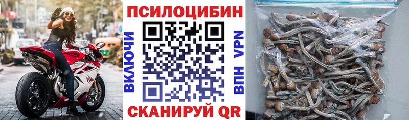 это наркотические препараты  Усть-Илимск  Галлюциногенные грибы мицелий  где купить наркоту 